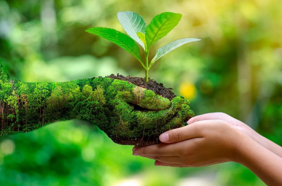 CSR spends on environment: HCL, ITC, Infosys among biggest contributors; Zoho’s spends 50%+ CSR fund on environment